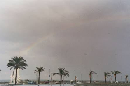 blocked::mailto:maissa.azab@bibalex.org